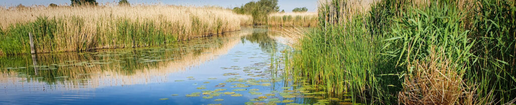 Faciliteiten Camping De Rijnstrangen